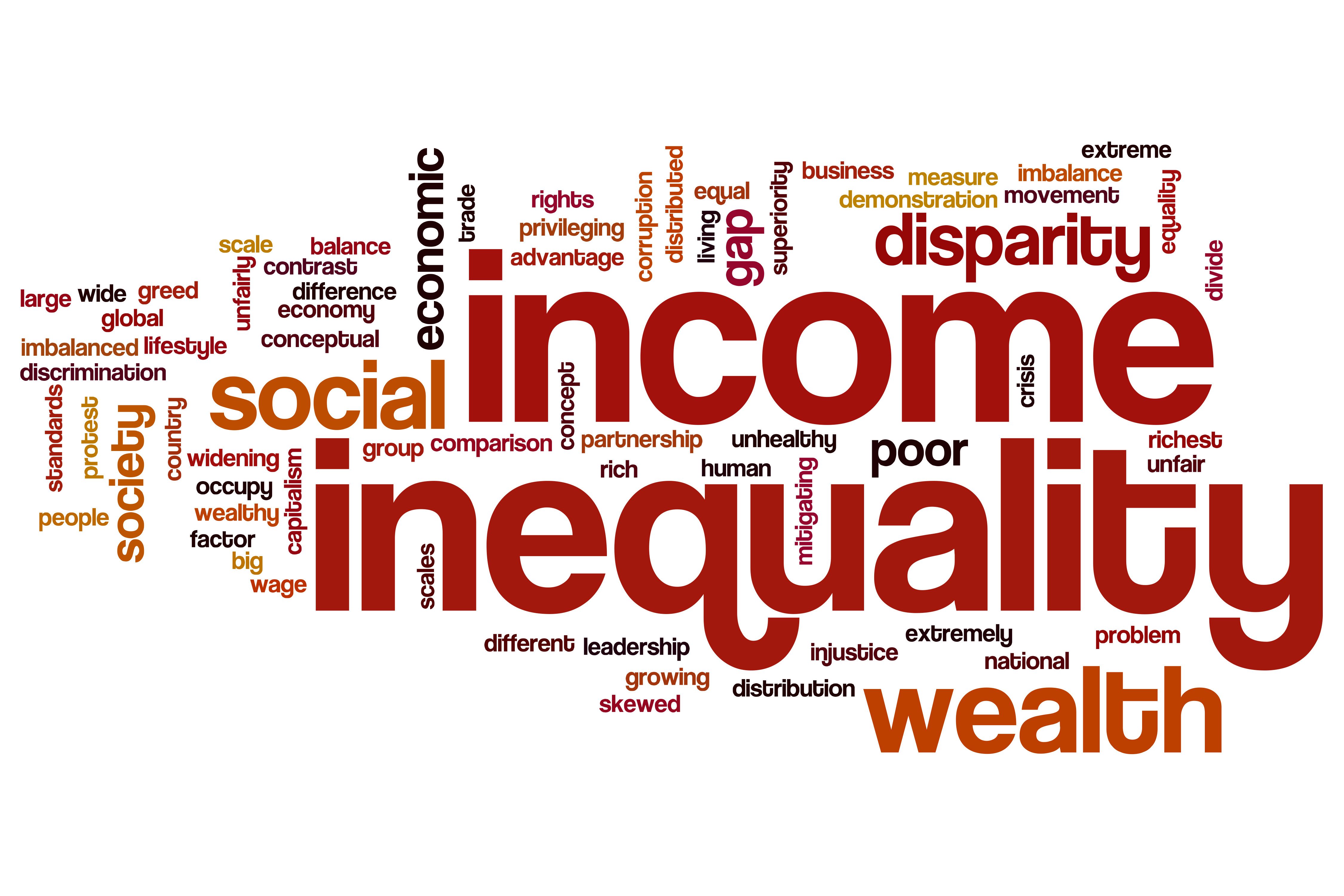 What is Economic Inequality?