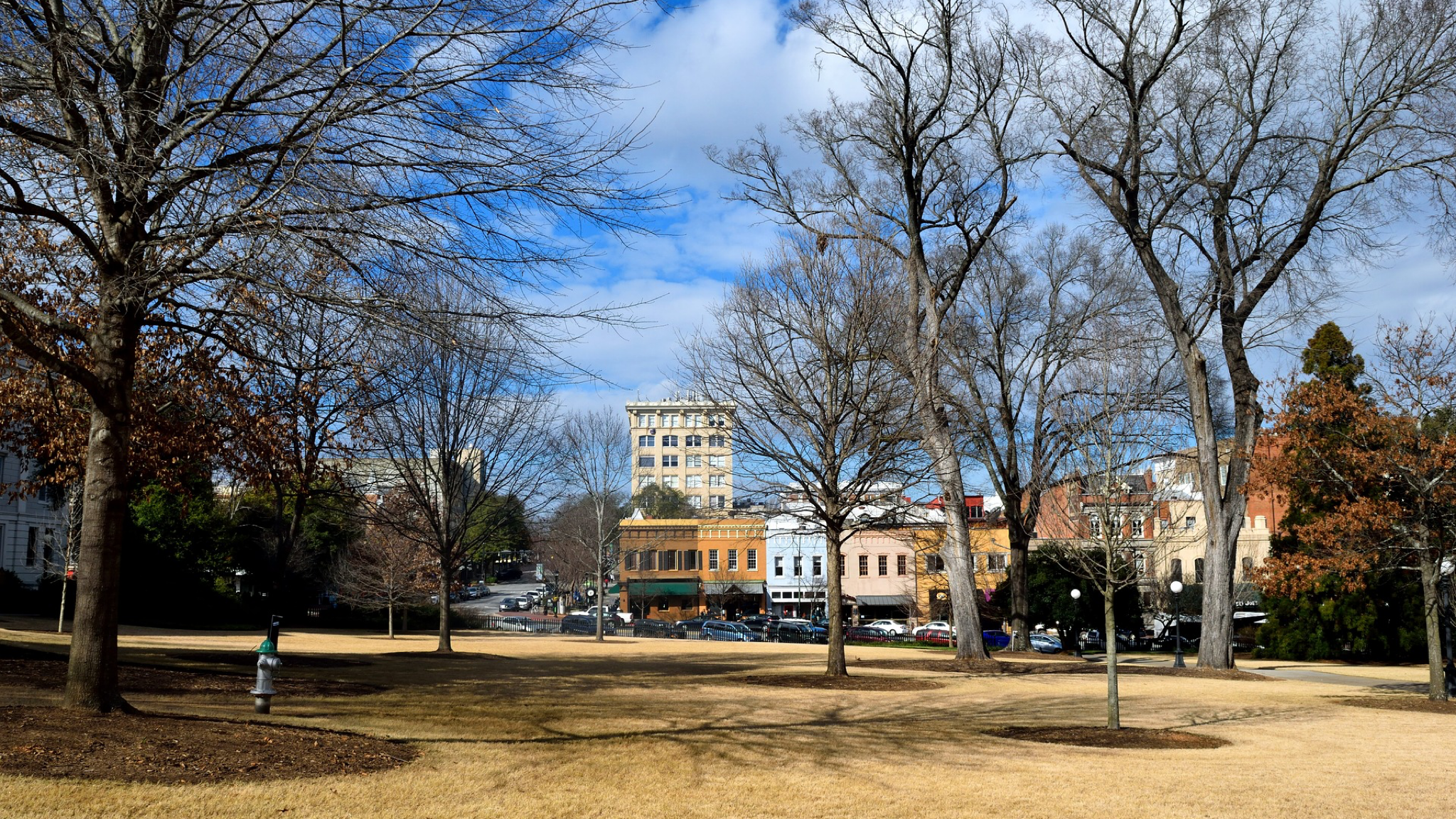 UGA Brainwashes Students with Bizarre Pronoun and Diversity Rhetoric -  Young America's Foundation